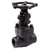 Class 800 Forged Steel Gate Valve