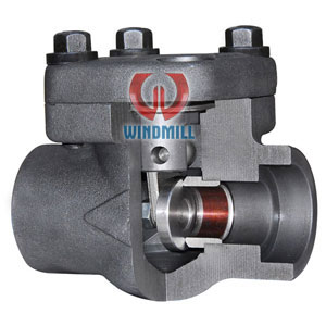 Forged Steel Bolt Type Swing Check Valve