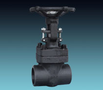 FORGE VALVE