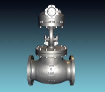 GLOBE VALVE